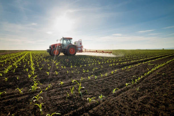 Z kraju: Zakaz wwozu produktów rolnych z Ukrainy. Komisja Europejska wydała oświadczenie - Zdjęcie główne
