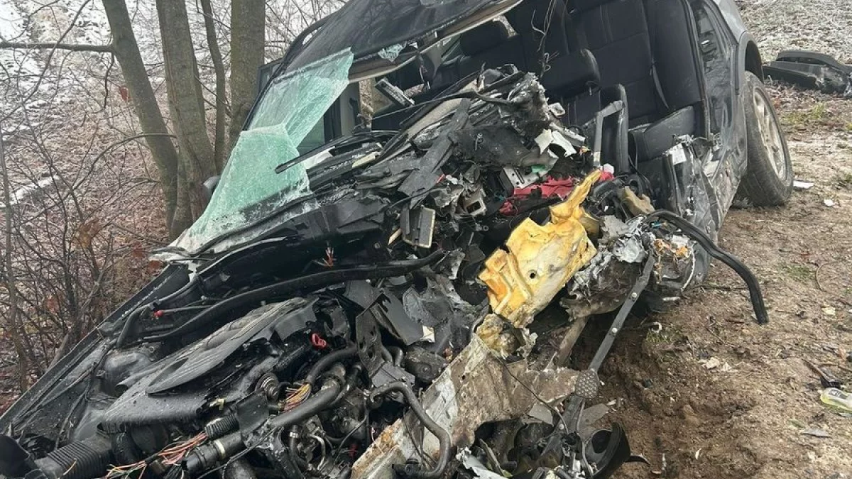 Lubelskie. BMW wjechało w drzewo. Kierowca ciężko ranny - Zdjęcie główne