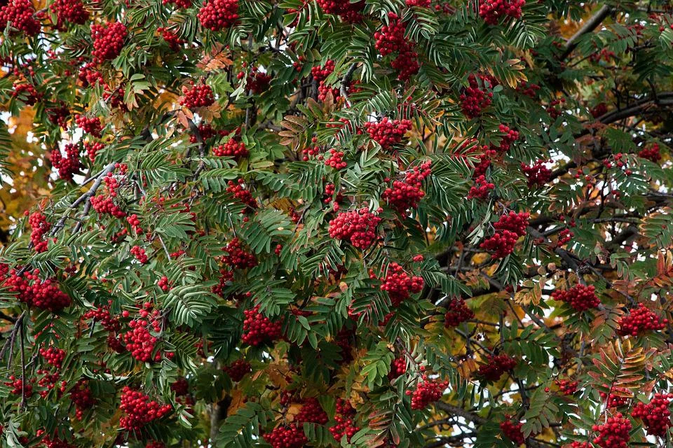 Lublin: Temperatura mocno w dół. Prognoza pogody (20.08 - 2.09. 2022r.) - Zdjęcie główne