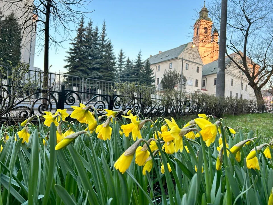 Lublin: Zaczęły się wiosenne porządki w mieście - Zdjęcie główne