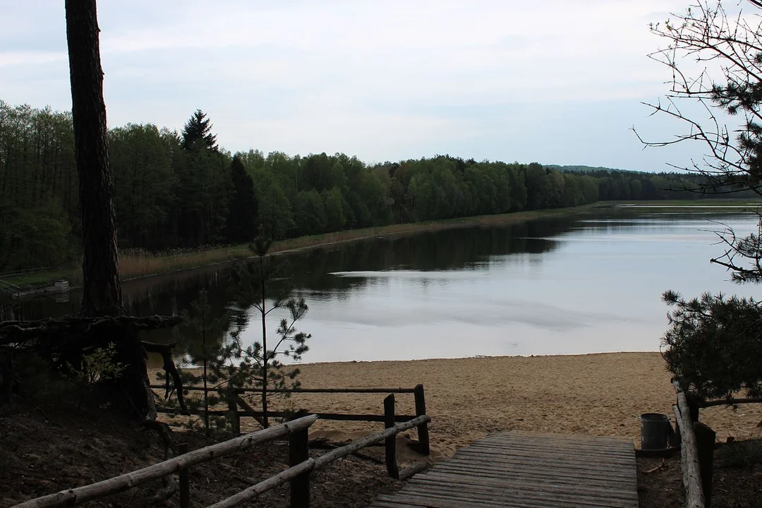 Województwo lubelskie: Popularne kąpieliska zamknięte. Wykryto bakterie i sinice - Zdjęcie główne