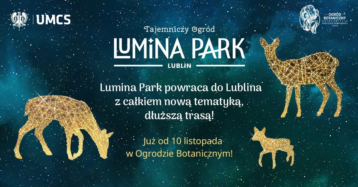 Lublin:  Iluminacje wrócą do Ogrodu Botanicznego UMCS. Park Iluminacji znowu się otworzy - Zdjęcie główne