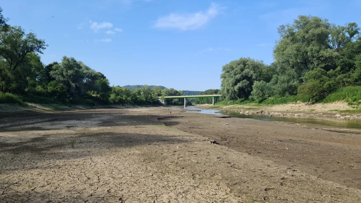 Susza, jakiej nie widziałeś. Wstrząsające obrazy z Podkarpacia. W Rajskiem można chodzić po dnie Sanu [ZDJĘCIA+VIDEO] - Zdjęcie główne