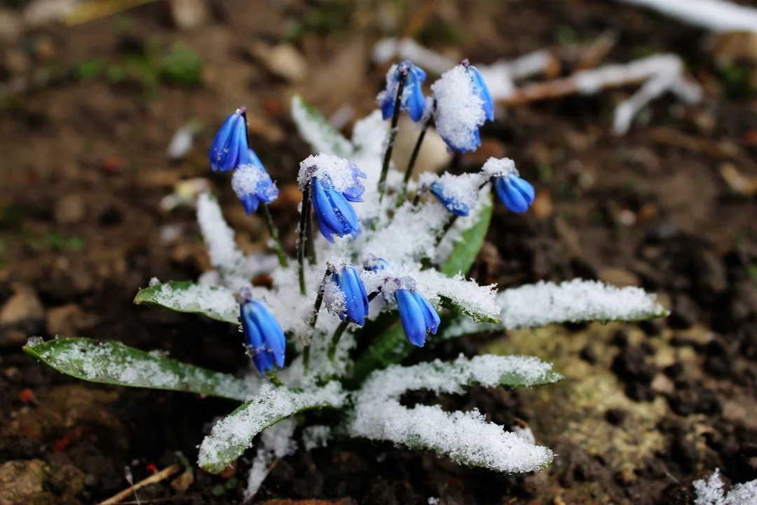 Siedlce: Prognoza pogody na weekend (04 - 05.03.2023r) - Zdjęcie główne