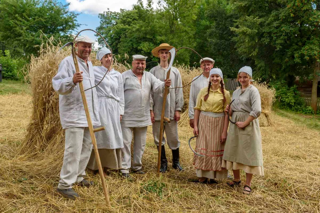 Żniwowanie w lubelskim skansenie. Lekcja historii dla dużych i małych (program) - Zdjęcie główne