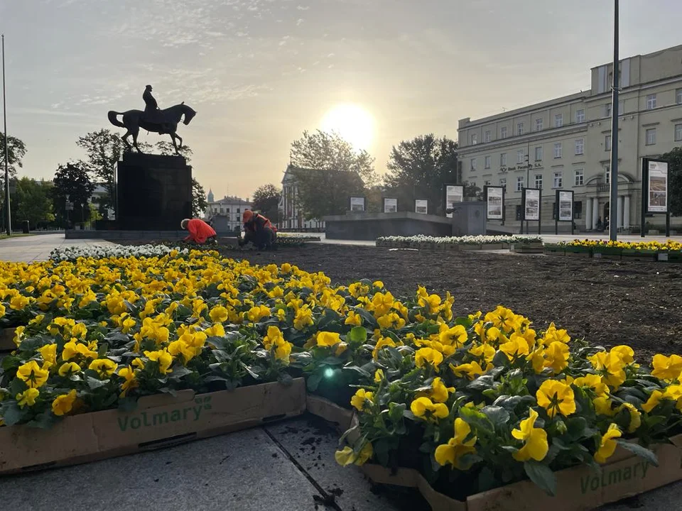 Lublin: Ruszyła trzecia wymiana kwiatów w centrum miasta - Zdjęcie główne