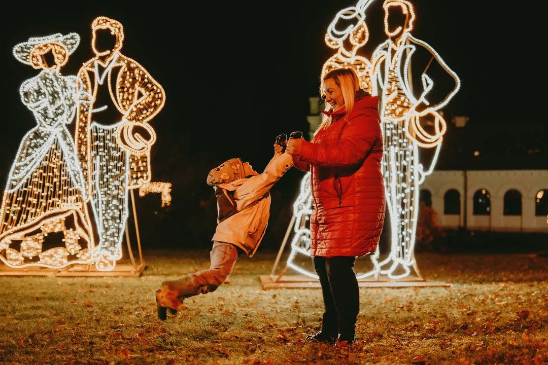 Weekend w Lublinie. Targi dla zwierzaków,, sport i park iluminacji (17.11 – 19.11.) - Zdjęcie główne