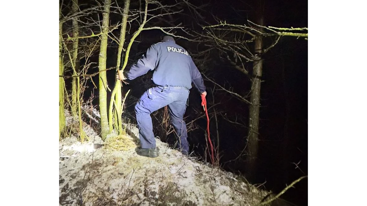 Lubelskie: 20-latek poszedł na spacer z psem. Czworonóg wrócił do domu sam - Zdjęcie główne