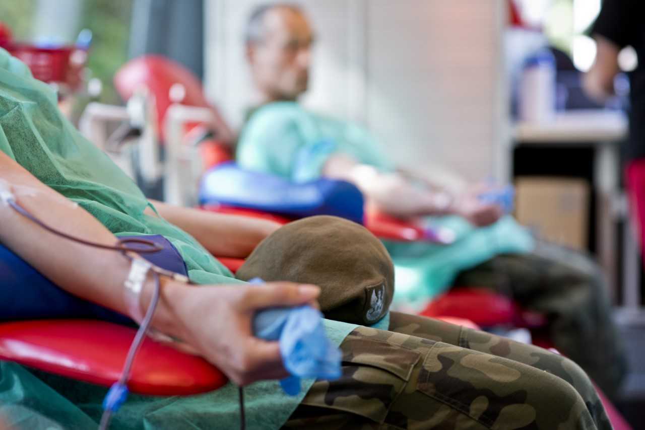 Województwo lubelskie: lubelscy terytorialsi liderami donacji krwi w WOT - Zdjęcie główne