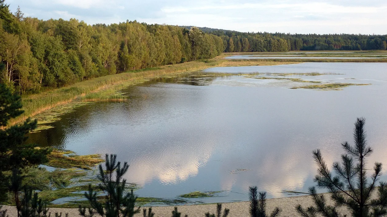 Ruszyła większość kąpielisk na Lubelszczyźnie. Sanepid informuje o jakości wody - Zdjęcie główne