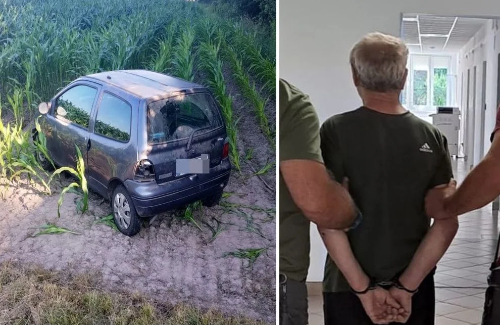 Województwo lubelskie: Mołdawianin wycieczkę "pożyczonym" autem skończył w polu kukurydzy - Zdjęcie główne