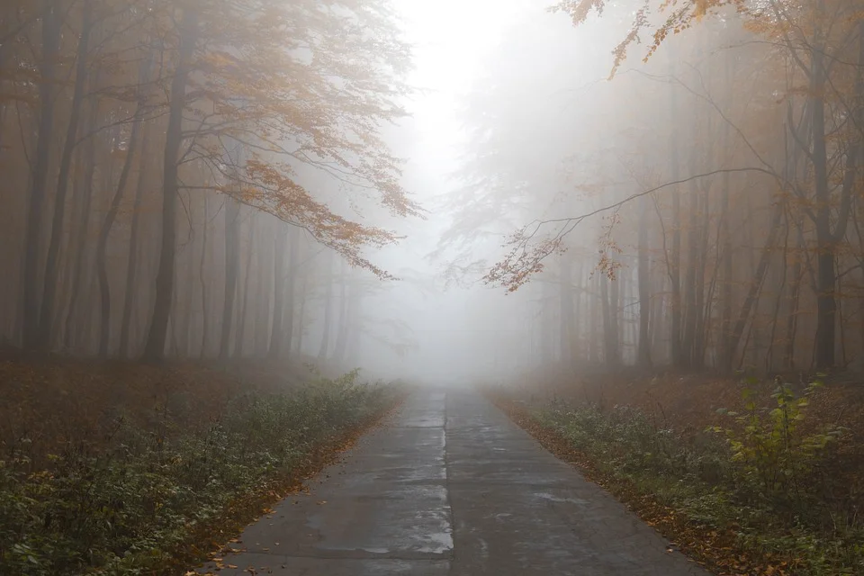 Lubelskie: Czarne chmury zasnują niebo. Prognoza pogody na weekend (11 - 12.11.2023r) - Zdjęcie główne