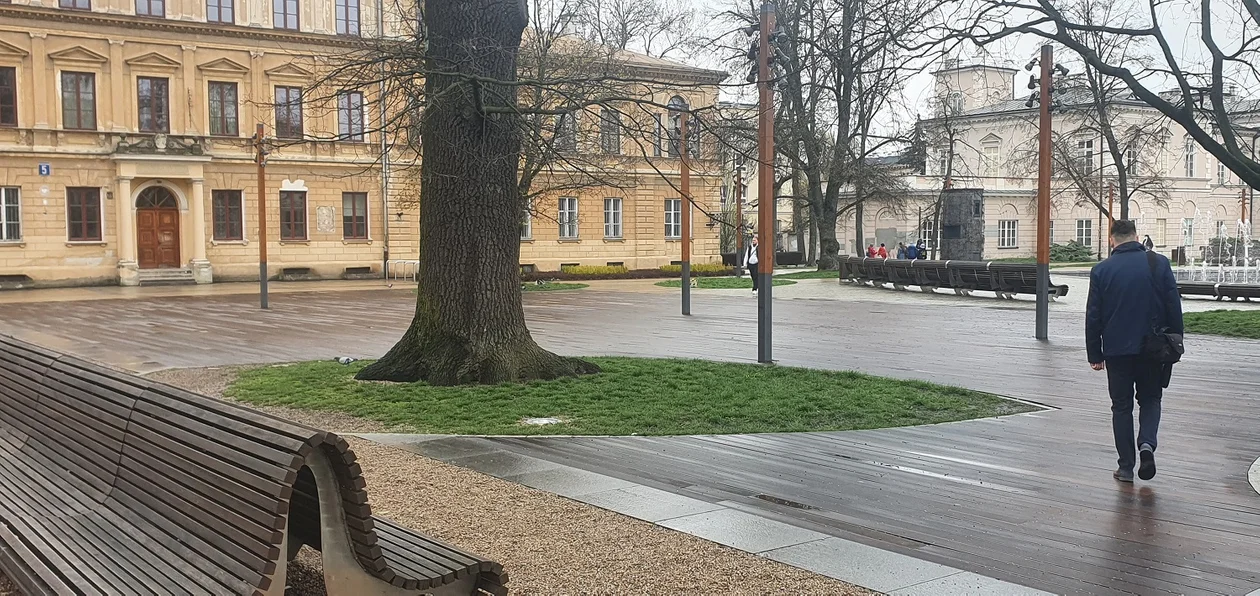 Drewniany taras na Placu Litewskim w Lublinie przejdzie konserwację. Miasto szuka wykonawcy - Zdjęcie główne