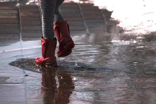 Lublin: Na teren szkoły spływa woda z osiedla. Radna apelowała o interwencję - Zdjęcie główne