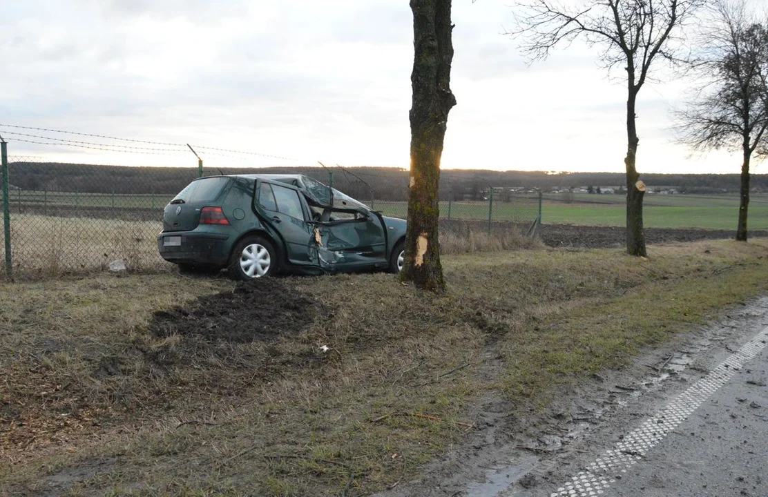 Województwo lubelskie: Zjechał z drogi i uderzył w drzewo. 16-letni pasażer w szpitalu - Zdjęcie główne