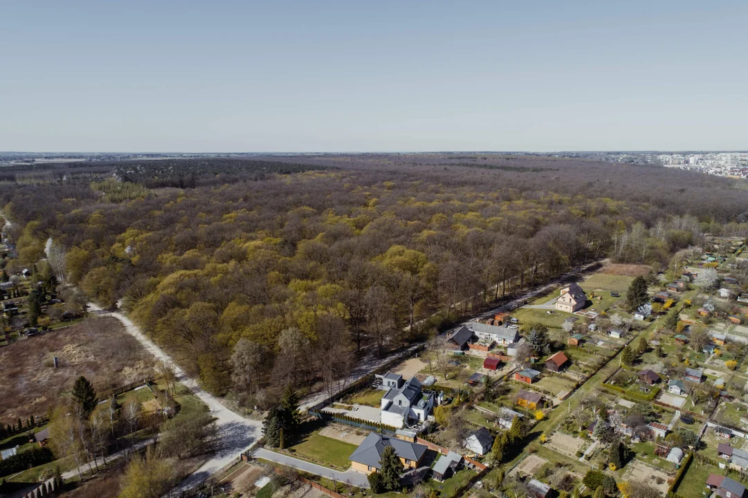 Lublin: Miasto chce chronić zieleń. Chodzi o konkretne ogrody, parki i lasy - Zdjęcie główne