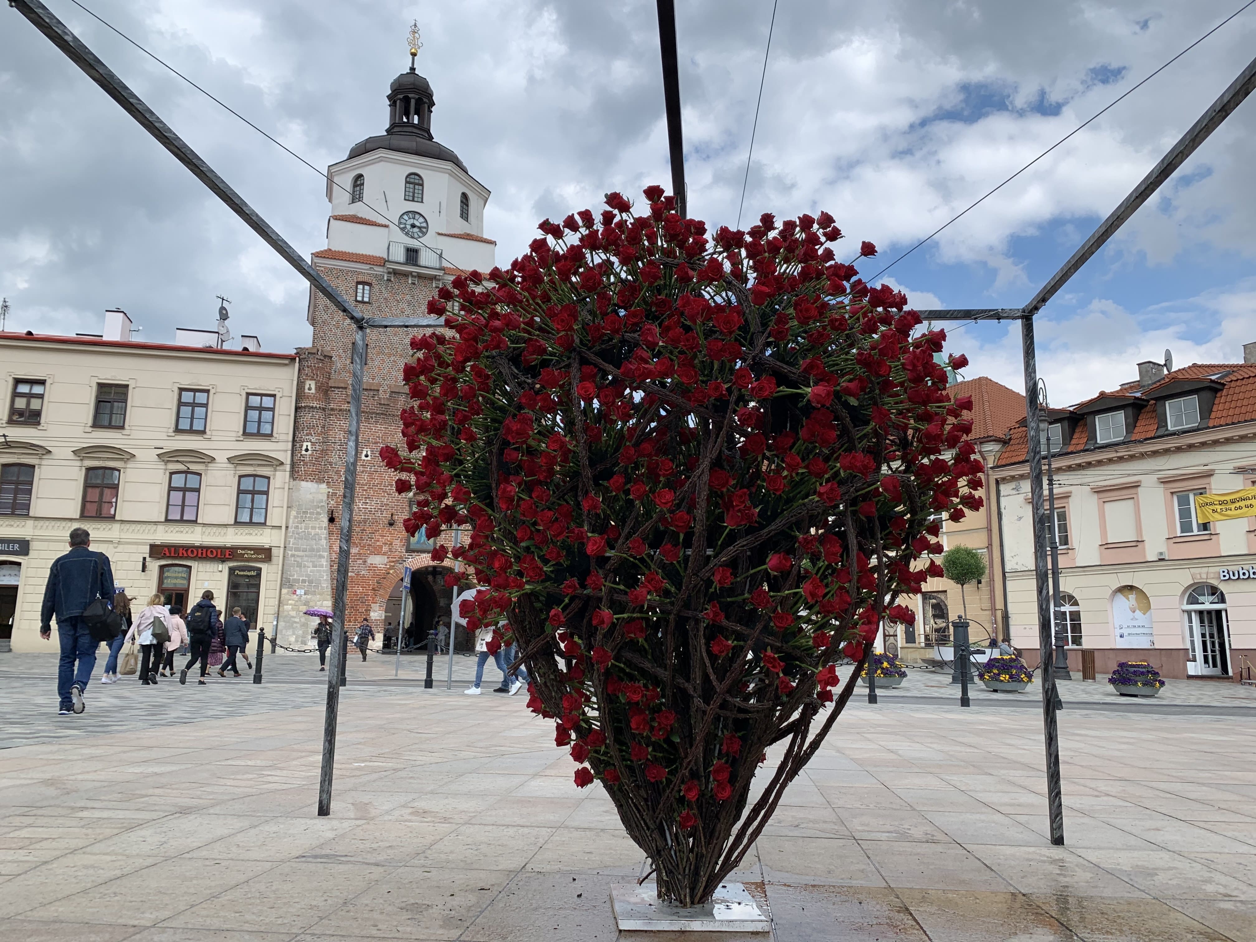Lublin: pod Ratuszem pojawiła się "Serdeczna" instalacja z róż - Zdjęcie główne