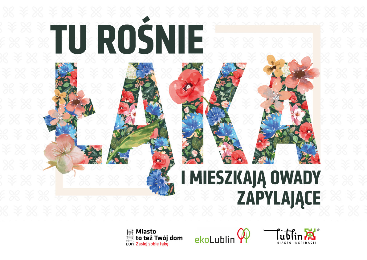 Lublin: rusza akcja "Zasiej sobie łąkę". W czterech miejscach będą nowe łąki kwietne - Zdjęcie główne