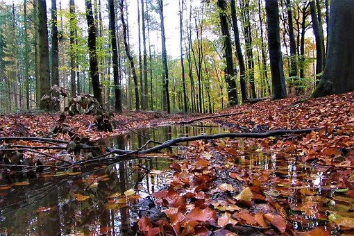 Lubelskie: Prognoza pogody na weekend na 01-02.10.2022r. - Zdjęcie główne