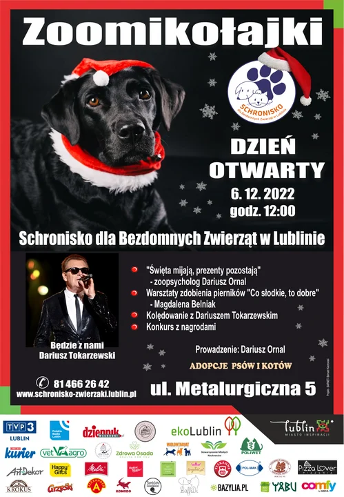Lublin: Schronisko dla Bezdomnych Zwierząt szykuje Zoomikołajki - Zdjęcie główne