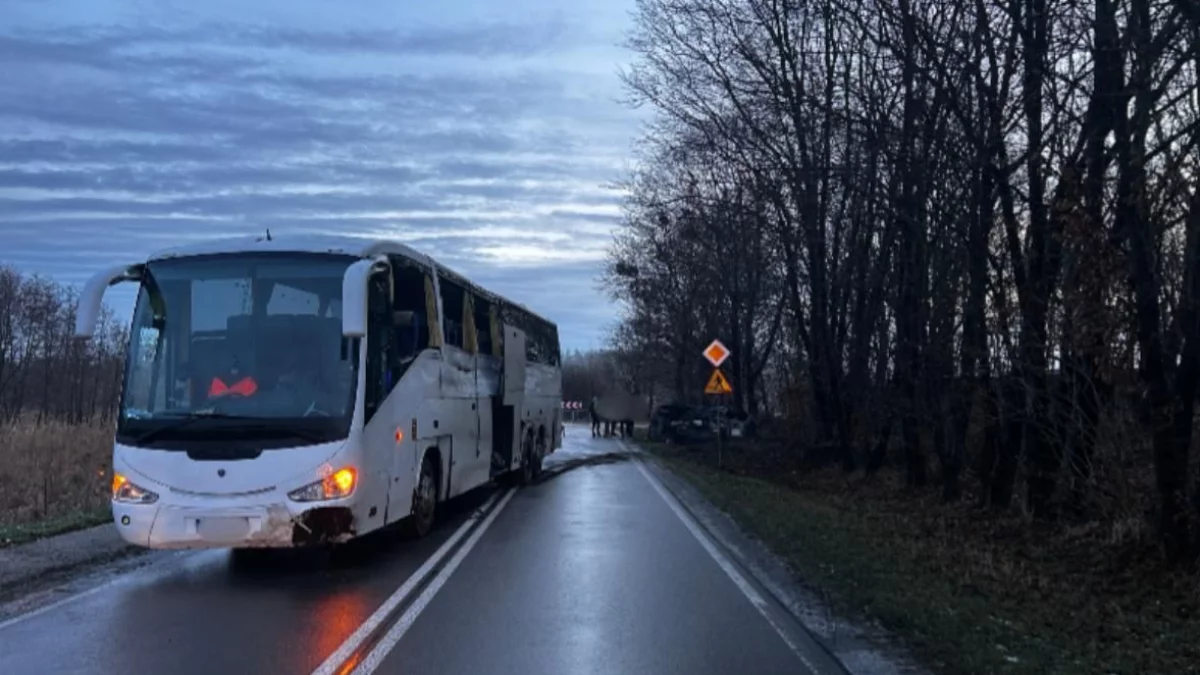 Województwo lubelskie: Autokar z pasażerami wjechał do rowu - Zdjęcie główne