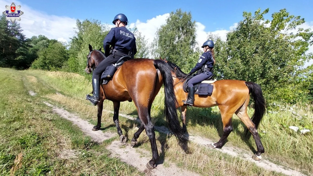 Policjanci na koniach patrolują wschodnią granicę - Zdjęcie główne