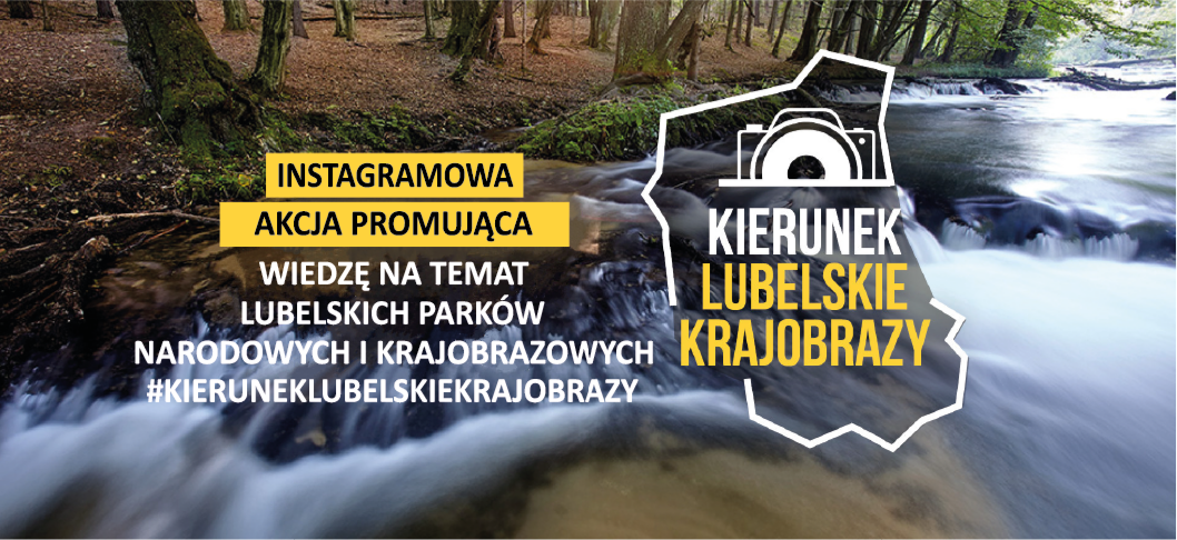 Konkurs fotograficzny #kieruneklubelskiekrajobrazy - Zdjęcie główne