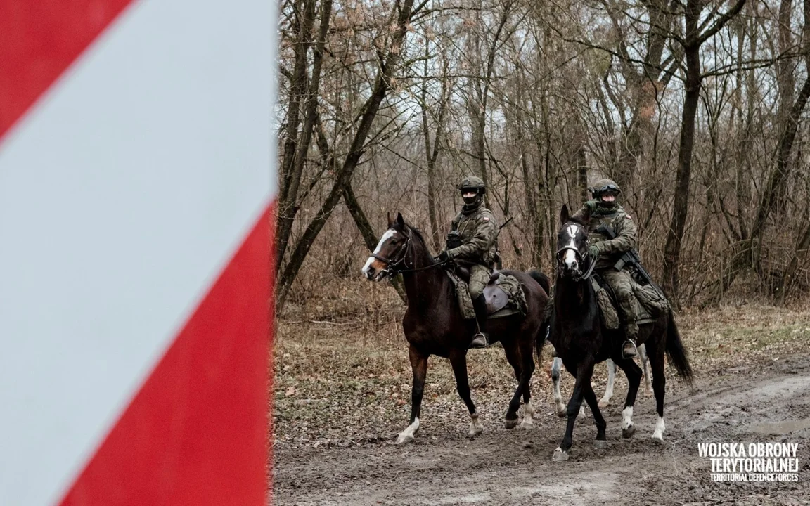 Województwo lubelskie: Terytorialsi na koniach nadal patrolują rejony granicy z Białorusią - Zdjęcie główne