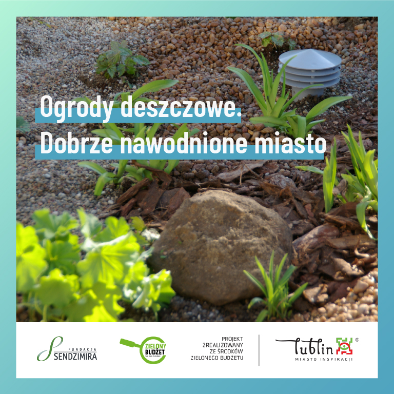 Lublin: powstaną ogrody deszczowe. Mieszkańcy mogą zaangażować się w ich tworzenie - Zdjęcie główne