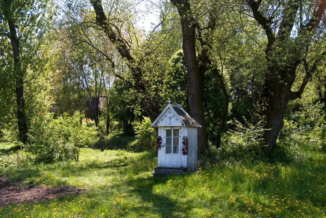 Skansen otwiera drzwi. Możesz zwiedzić go bezpłatnie - Zdjęcie główne