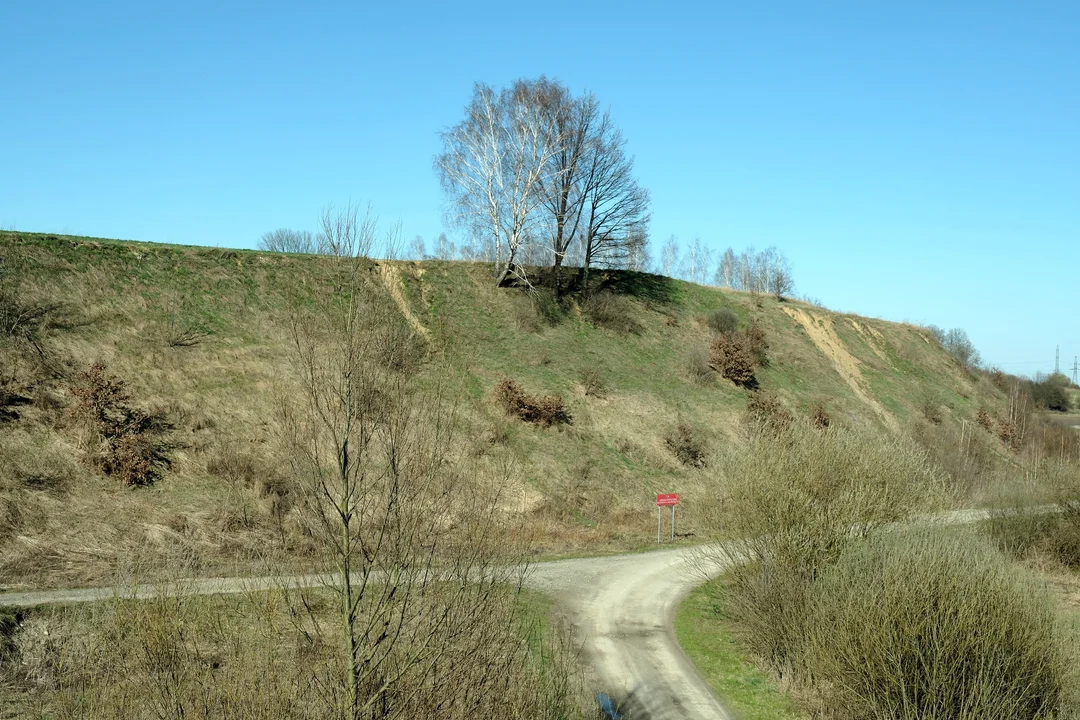 Lublin: Zamiast pomników przyrody "Miłkowa Skała". Powstał pierwszy użytek ekologiczny - Zdjęcie główne