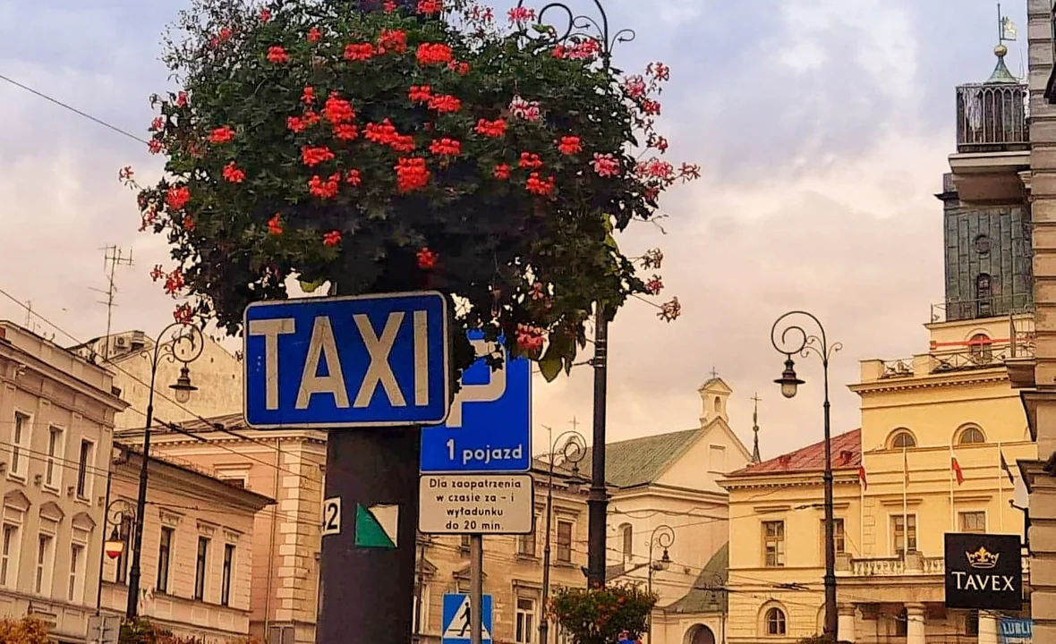 Lublin: Taksówkarze muszą wymienić licencje. Mają czas do końca roku - Zdjęcie główne