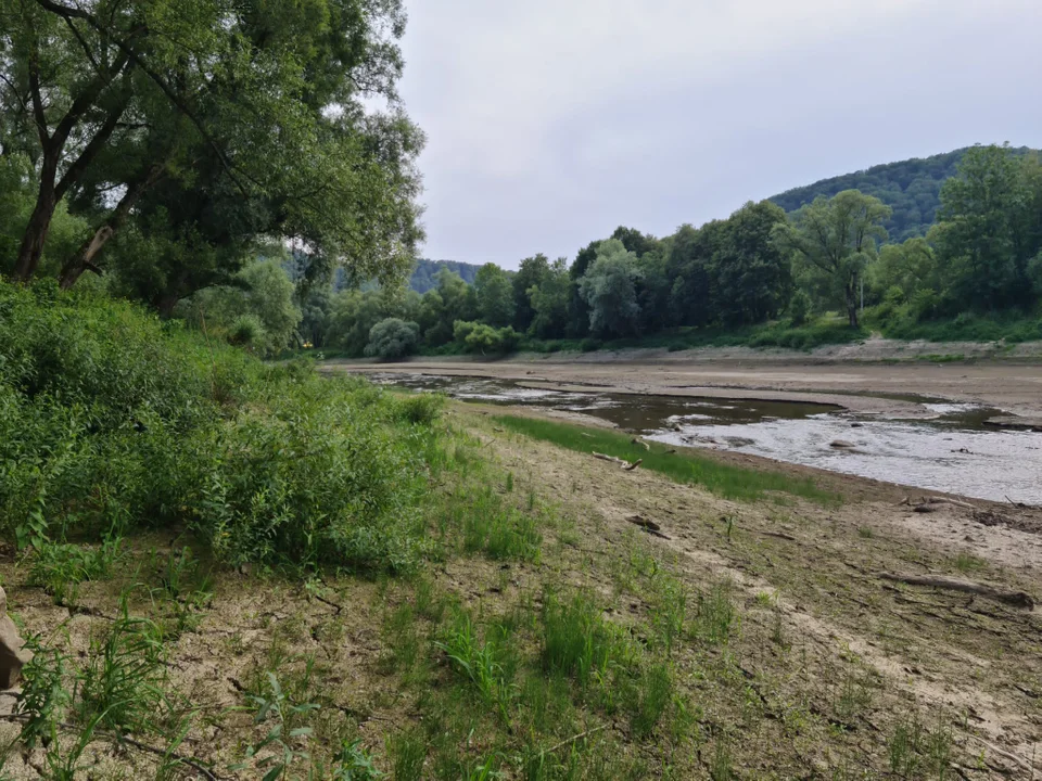 Wyschnięty San w Bieszczadach