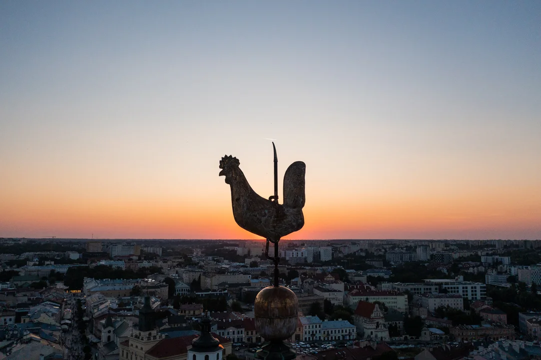 Lublin włącza się ogólnopolską akcję. „Tydzień Pomocy Osobom Pokrzywdzonym Przestępstwem” - Zdjęcie główne