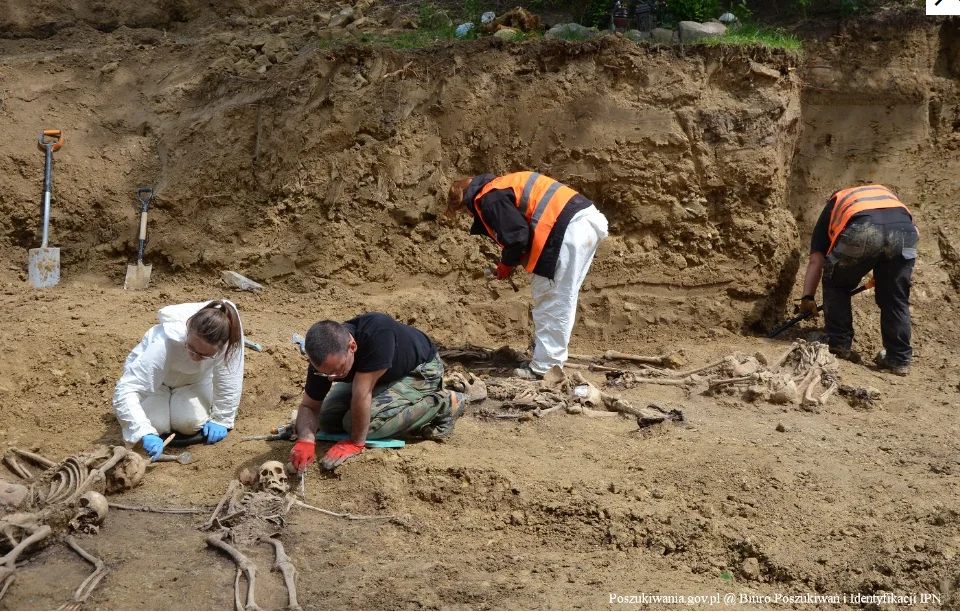 Lublin: IPN znalazł szczątki ok. 25 osób na Górkach Czechowskich. Prace przedłużone - Zdjęcie główne