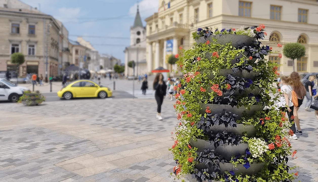 Lublin: Nowe kwiaty będą zdobić miasto - Zdjęcie główne