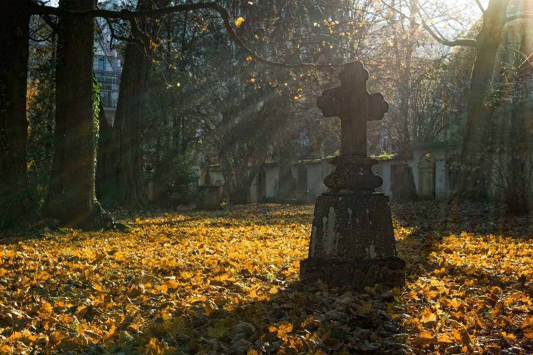 Spacery po cmentarzu na Lipowej i Lublinie (program) - Zdjęcie główne