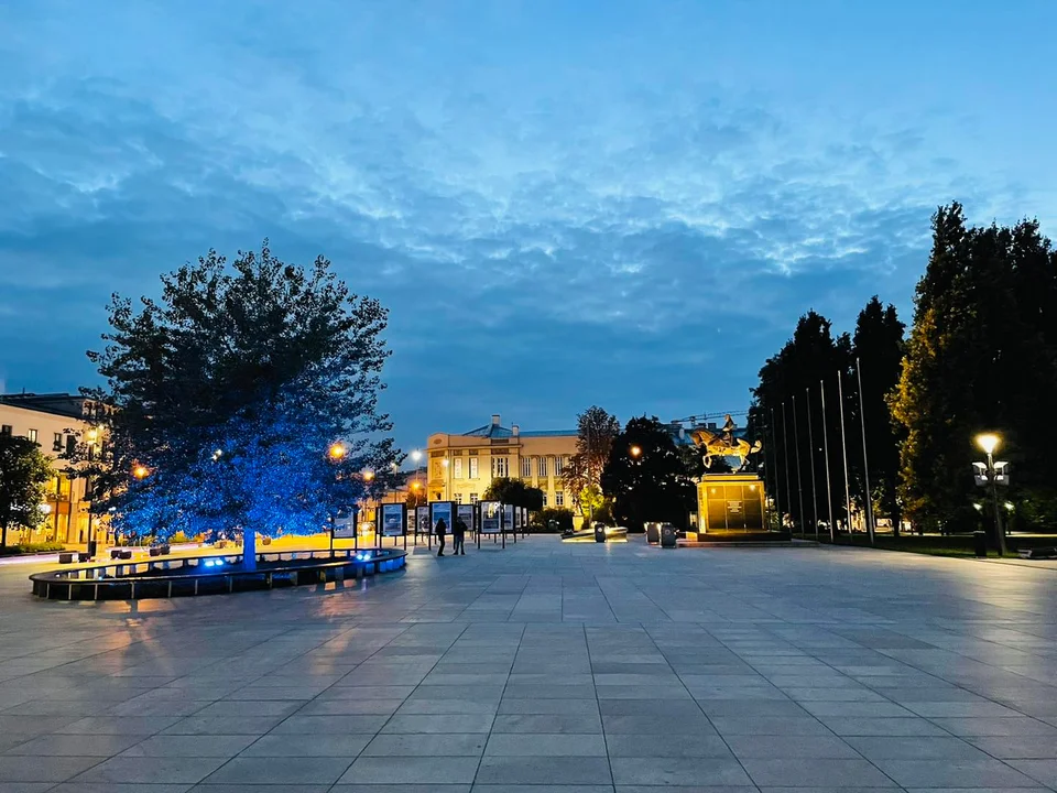 Lublin: Iluminacje w centrum rozbłysną kilkoma kolorami. Znamy powód - Zdjęcie główne