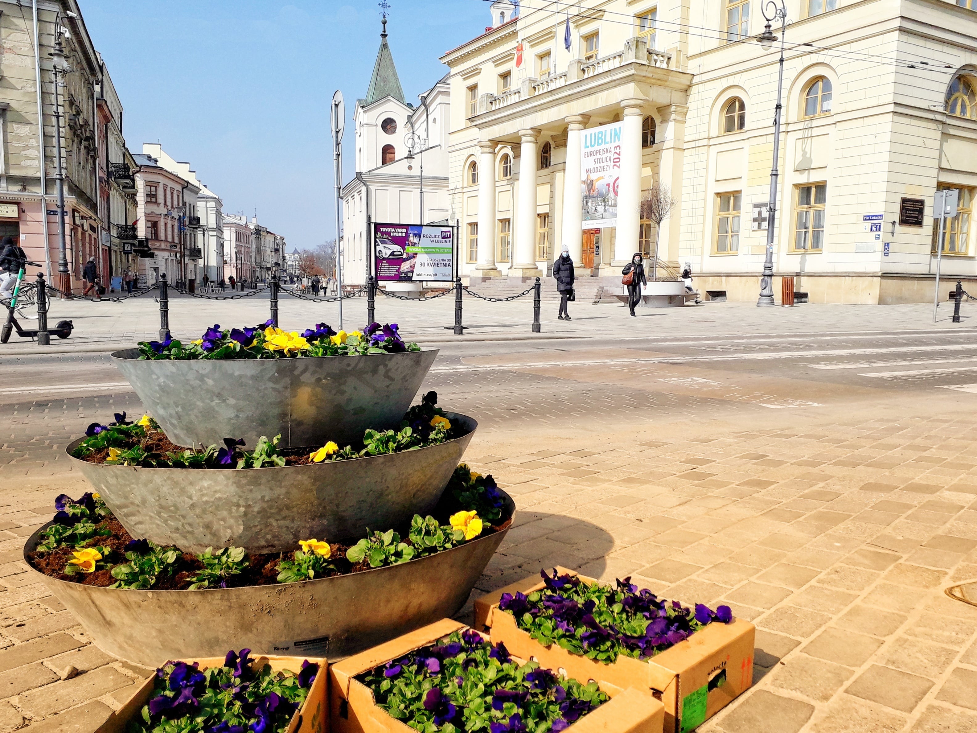 Pierwsze wiosenne bratki w Lublinie zasadzone - Zdjęcie główne