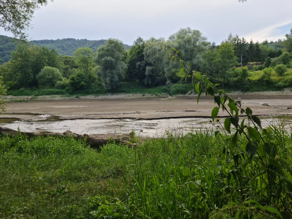 Wyschnięty San w Bieszczadach