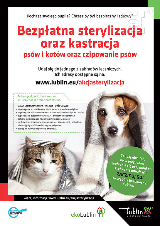 Lublin walczy z bezdomnością zwierząt: ponad 1,3 tys wysterylizowanych czworonogów i ponad 300 zaczipowanych - Zdjęcie główne