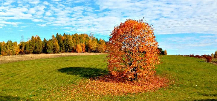 Wiemy kiedy będzie cieplej. Prognoza pogody na tydzień 03-09.10.2022r. - Zdjęcie główne