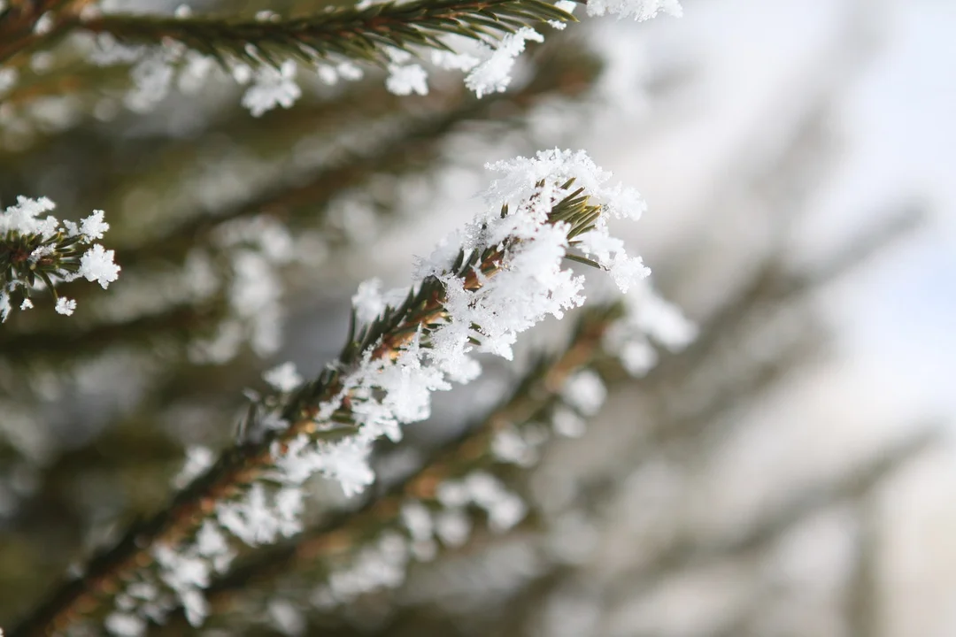 Lubelskie: Zapomnijmy o dodatnich temperaturach. Prognoza pogody na tydzień ( 27.11 - 3.12. 2023r) - Zdjęcie główne