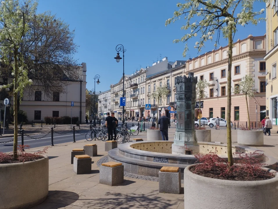 Lublin: W centrum pojawiły się nowe drzewka. Posadzono je wokół fontanny - Zdjęcie główne