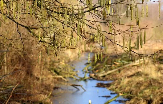 Lubelskie: Zima w odwrocie? Prognoza pogody na tydzień (13 - 19.02.2023r) - Zdjęcie główne