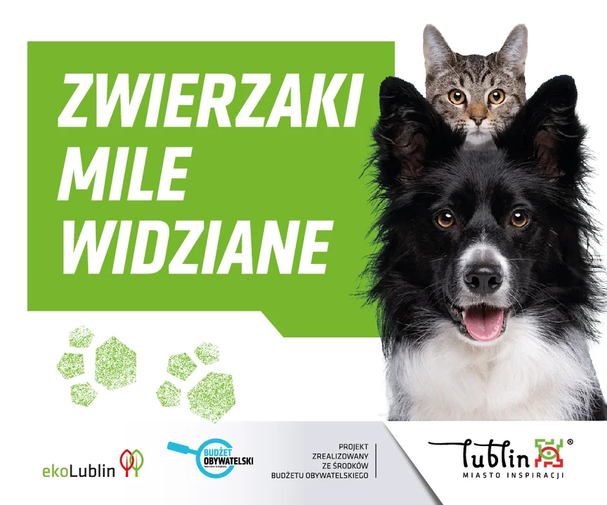 Lublin: Powstanie sieć "Miejsc przyjaznych zwierzętom". Zgłosiły się już np. restauracje i sklepy - Zdjęcie główne