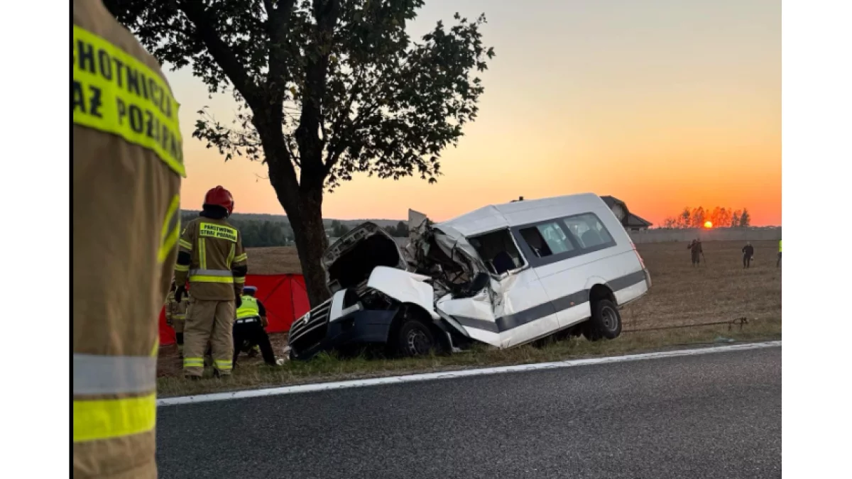 Z KRAJU: Bus z drużyną piłkarską uderzył w drzewo. Dwie osoby zginęły - Zdjęcie główne