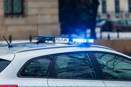 Województwo lubelskie: Samochód uderzył w drzewo. Zginął kierowca - Zdjęcie główne