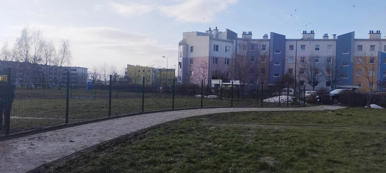Lublin: Psy będą miały gdzie się bawić na Felinie. Powstał nowy wybieg dla czworonogów - Zdjęcie główne