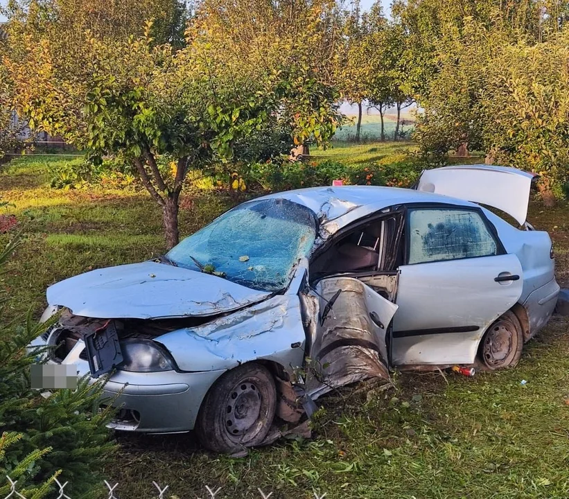 Wpadł w drzewa i poniósł śmierć na miejscu. Nie posiadał prawa jazdy - Zdjęcie główne